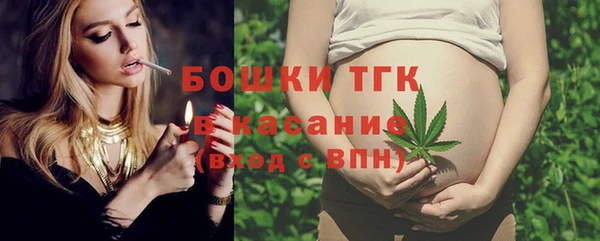 гашик Козельск