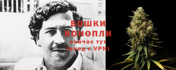 гашик Козельск