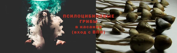 гашик Козельск