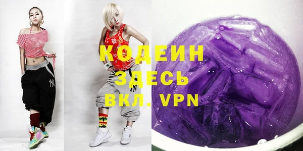 гашик Козельск