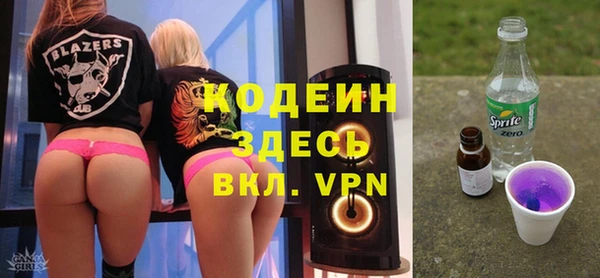 гашик Козельск