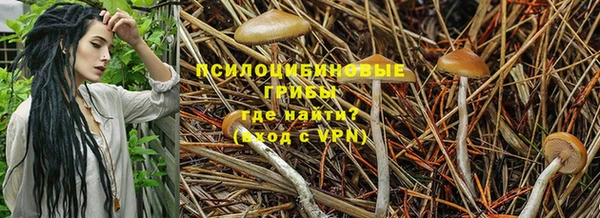 СК Кодинск